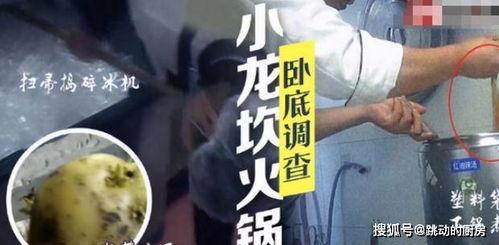 小龙被爆料视频大全,揭秘背后真相与争议